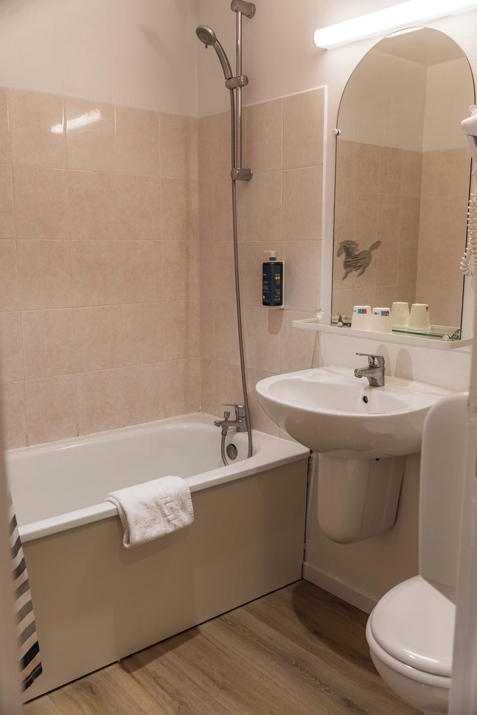 Combined shower/tub, free toiletries, hair dryer, towels