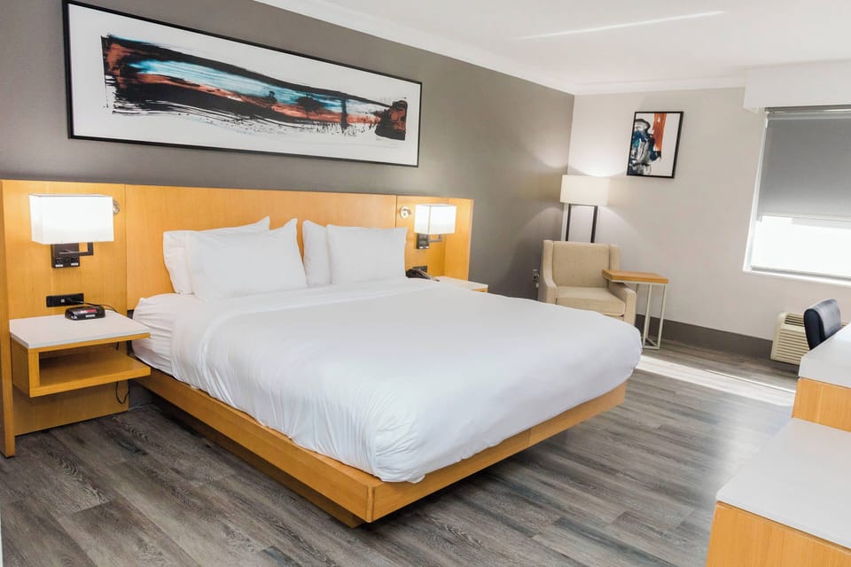 Room, 1 King Bed | Premium bedding, down comforters, in-room safe, desk