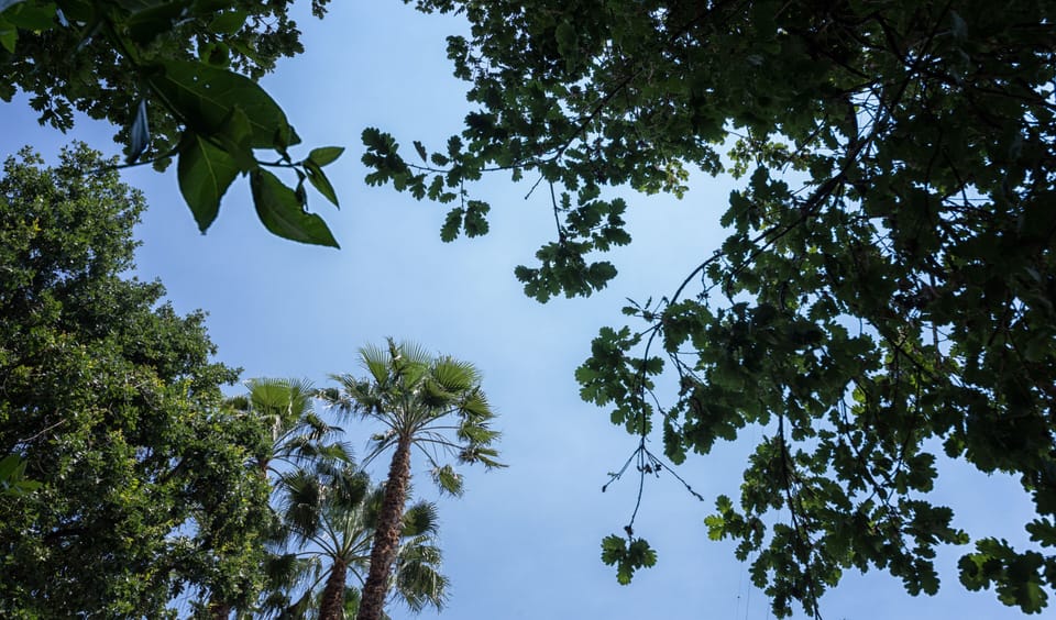Seasonal outdoor pool, pool umbrellas, sun loungers