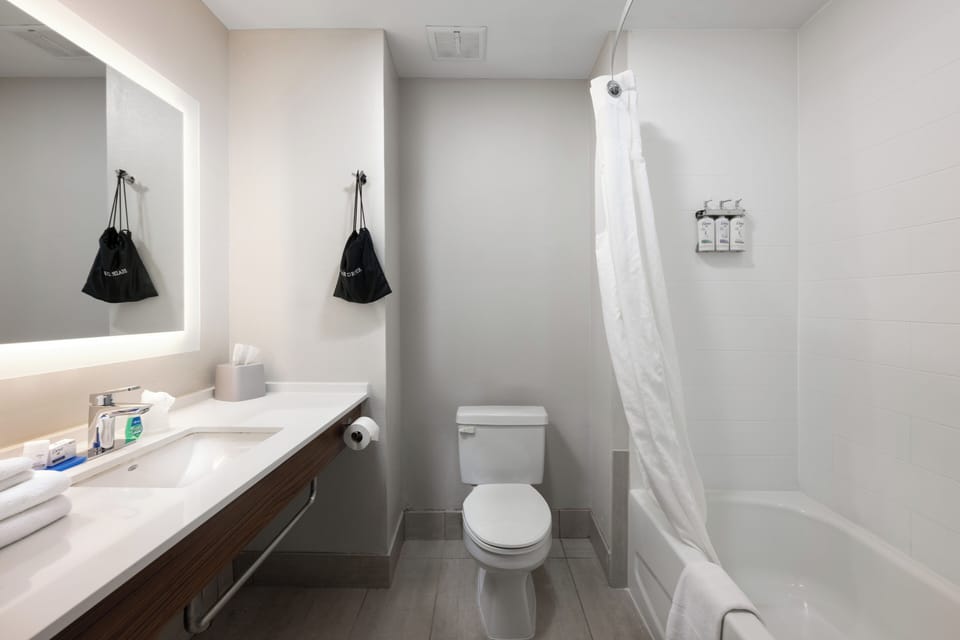 Combined shower/tub, free toiletries, hair dryer, towels