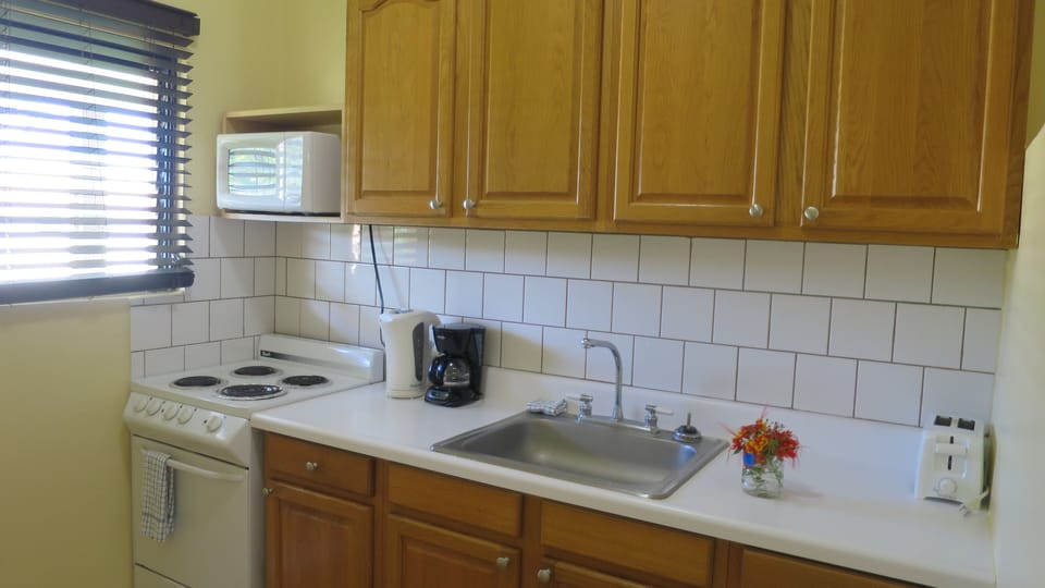 Studio, Kitchenette | Private kitchen | Coffee/tea maker, microwave, electric kettle, toaster