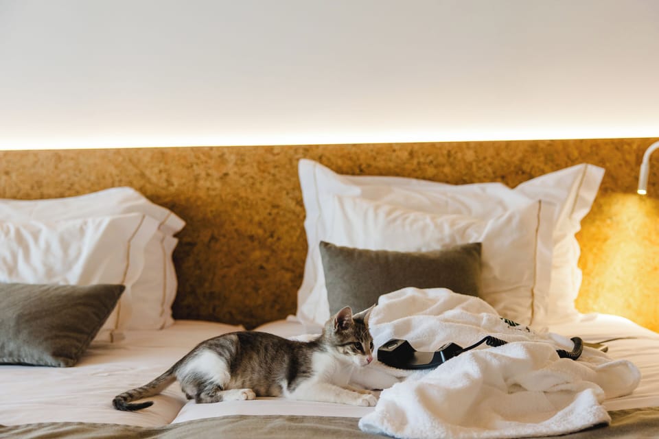 Pet-friendly
