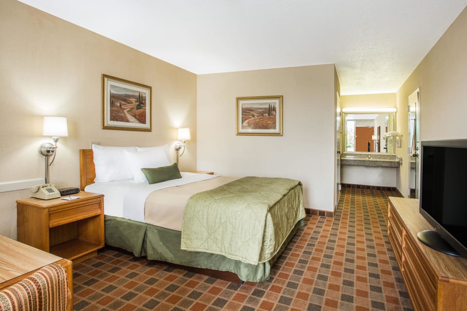 Room, 1 Queen Bed, Mobility Accessible, Non Smoking (Mobility, Roll-in Shower) | Pillowtop beds, desk, blackout drapes, soundproofing