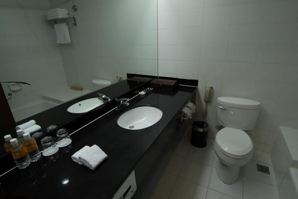 Bathtub, rainfall showerhead, free toiletries, hair dryer