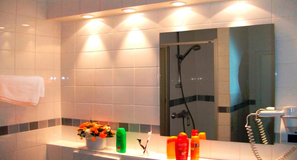 Shower, free toiletries, hair dryer, towels