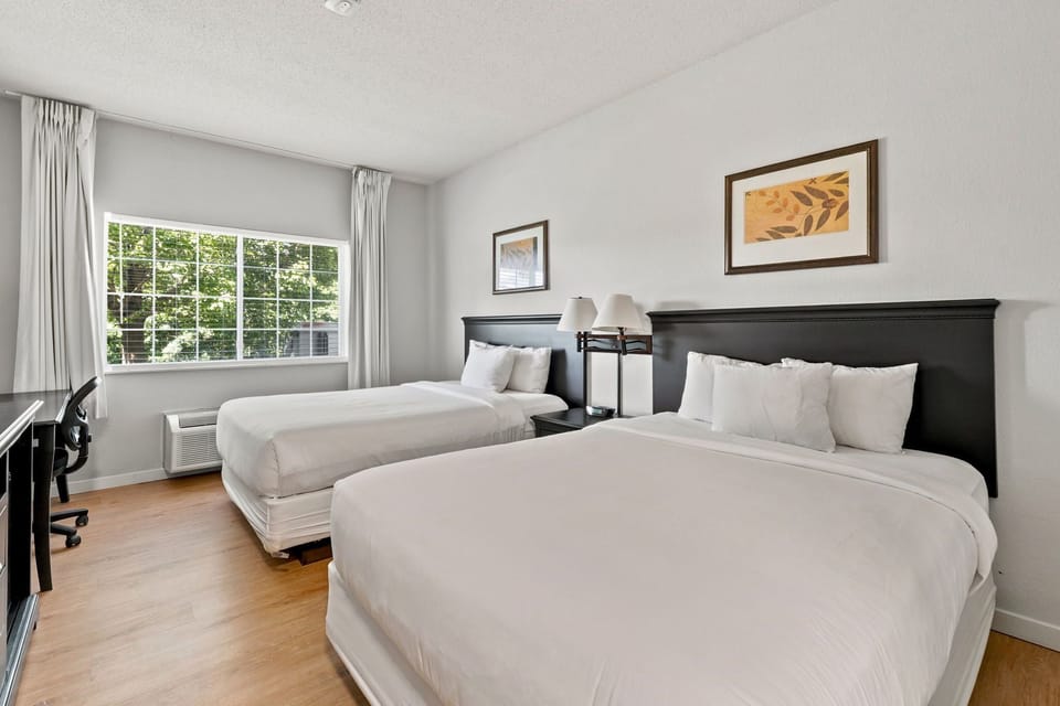 Double Room | Premium bedding, desk, laptop workspace, blackout drapes