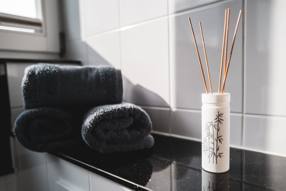 Apartment | Bathroom | Hair dryer, towels, soap, shampoo