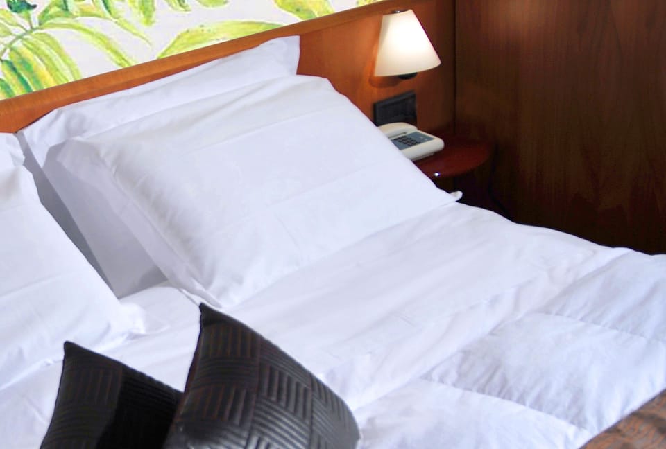 Single Room | Down comforters, minibar, in-room safe, desk