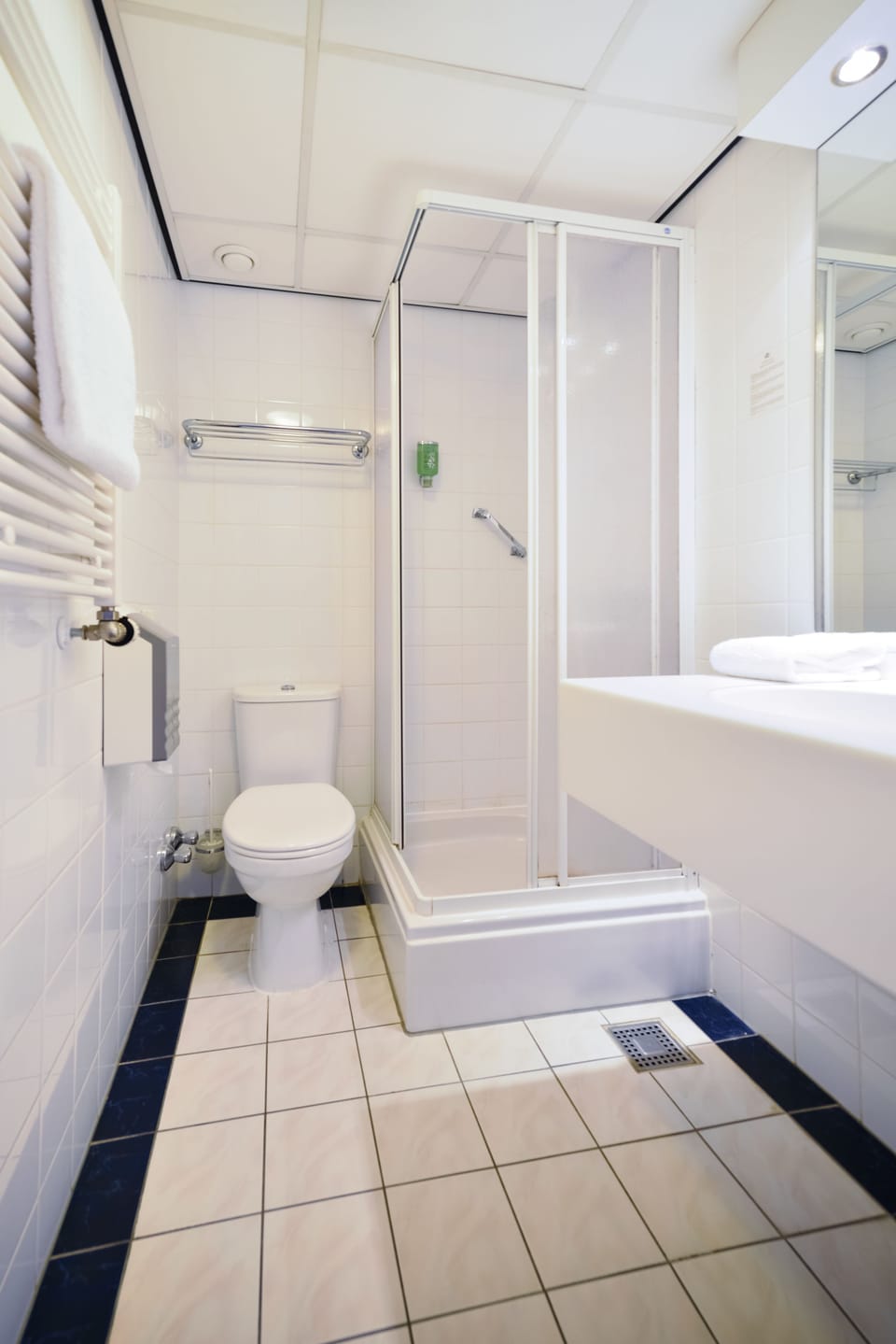 Eco-friendly toiletries, hair dryer, towels