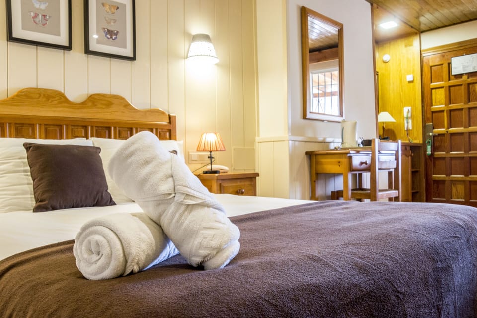 Basic Double Room, Ground Floor | In-room safe, desk, iron/ironing board, rollaway beds