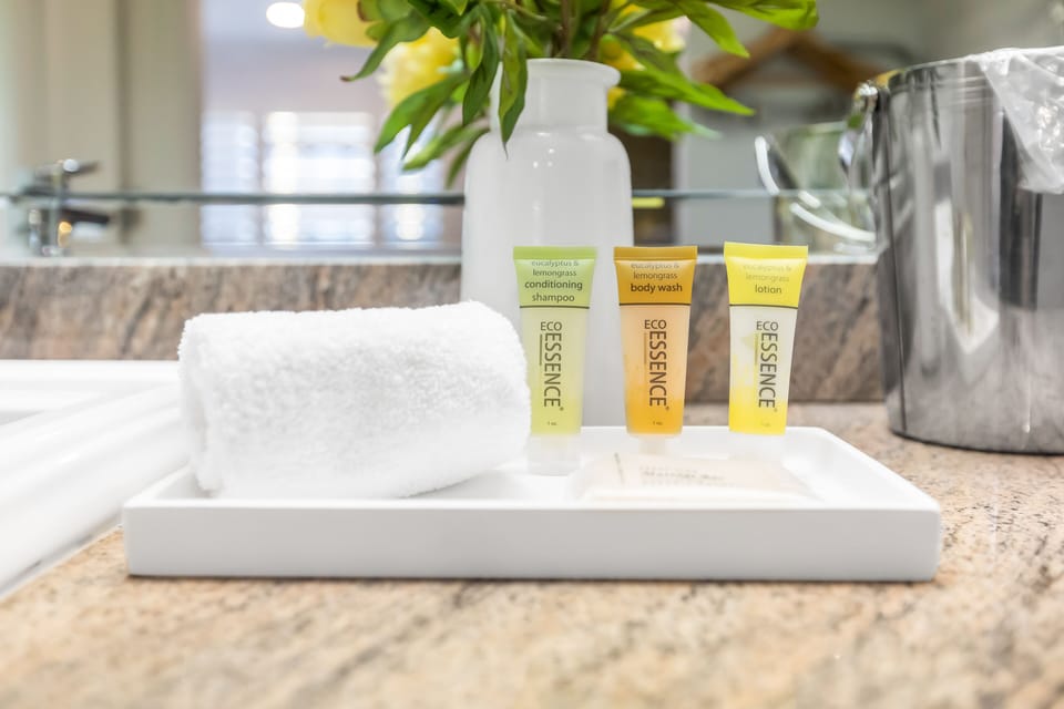 Room, 1 King Bed | Bathroom amenities | Hydromassage showerhead, free toiletries, hair dryer, towels