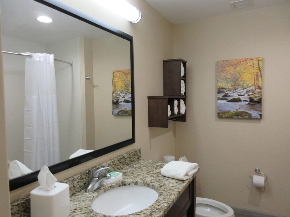 Premium bedding, pillowtop beds, in-room safe, desk