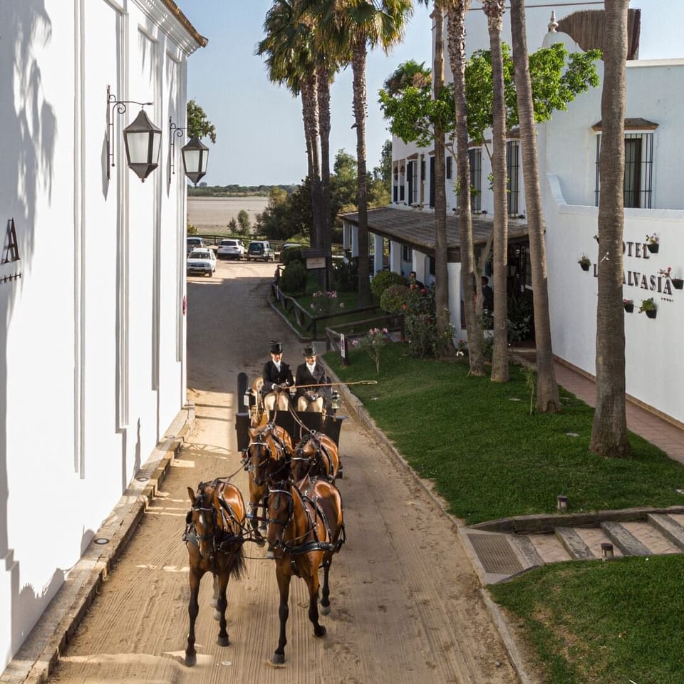 Hotel La Malvasía by Kaizen Hoteles Hotel in Costa de la Luz