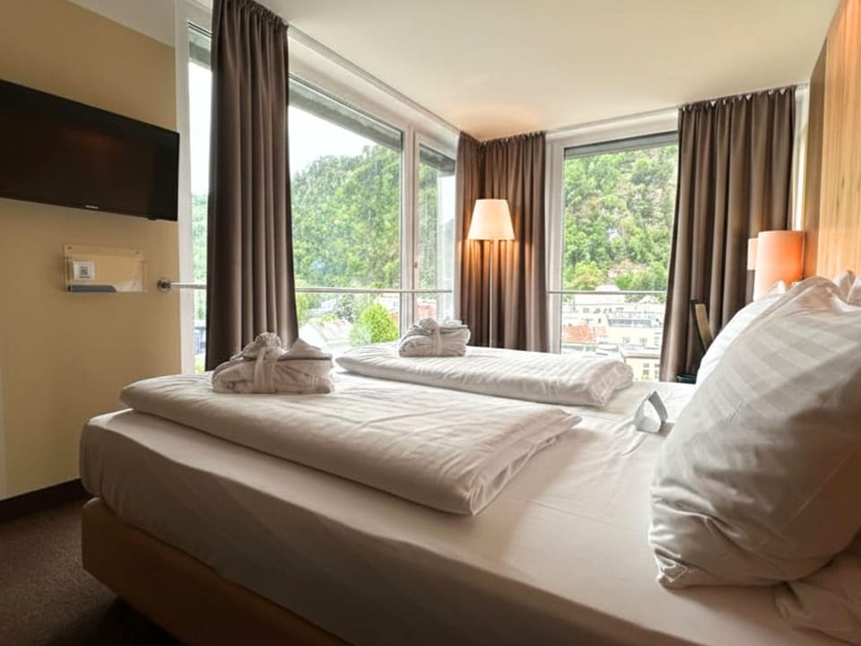 Standard Room, 1 King Bed, Mountain View | View from room