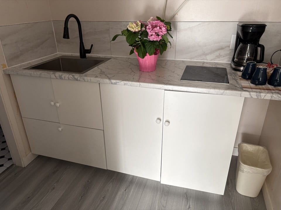 Double Room, 2 Queen Beds | Private kitchen | Coffee/tea maker, fridge, microwave, oven
