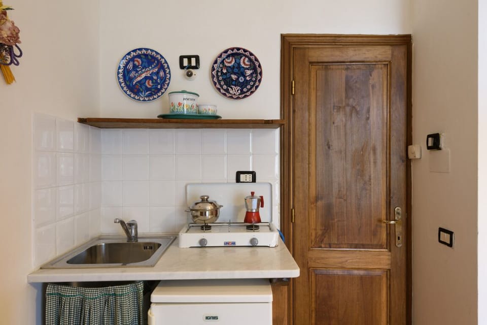 Fridge, stovetop, cookware/dishes/utensils