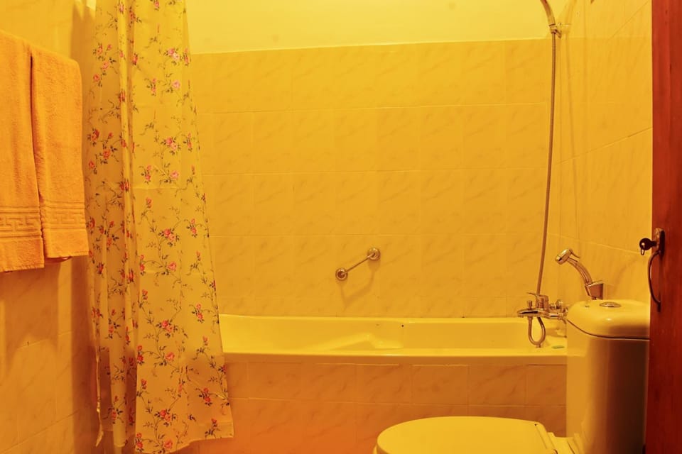 Shower, free toiletries, hair dryer, bathrobes