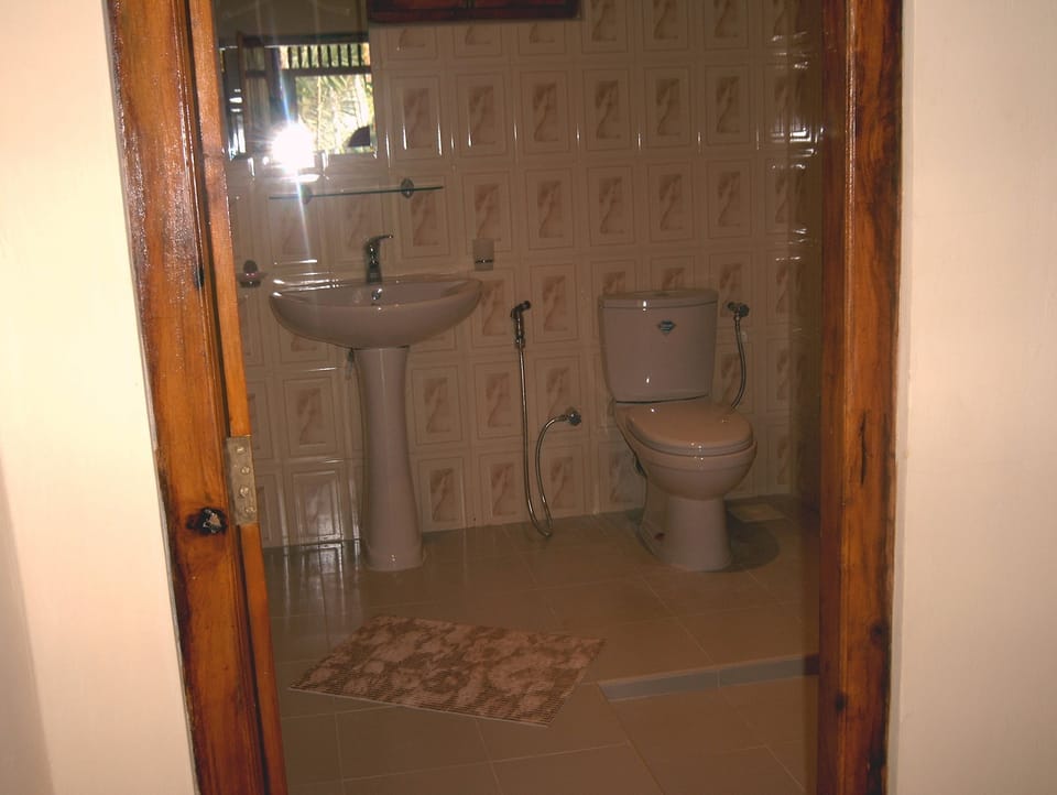 Standard Double Room, Mountain View | Bathroom | Shower, free toiletries, hair dryer, bathrobes