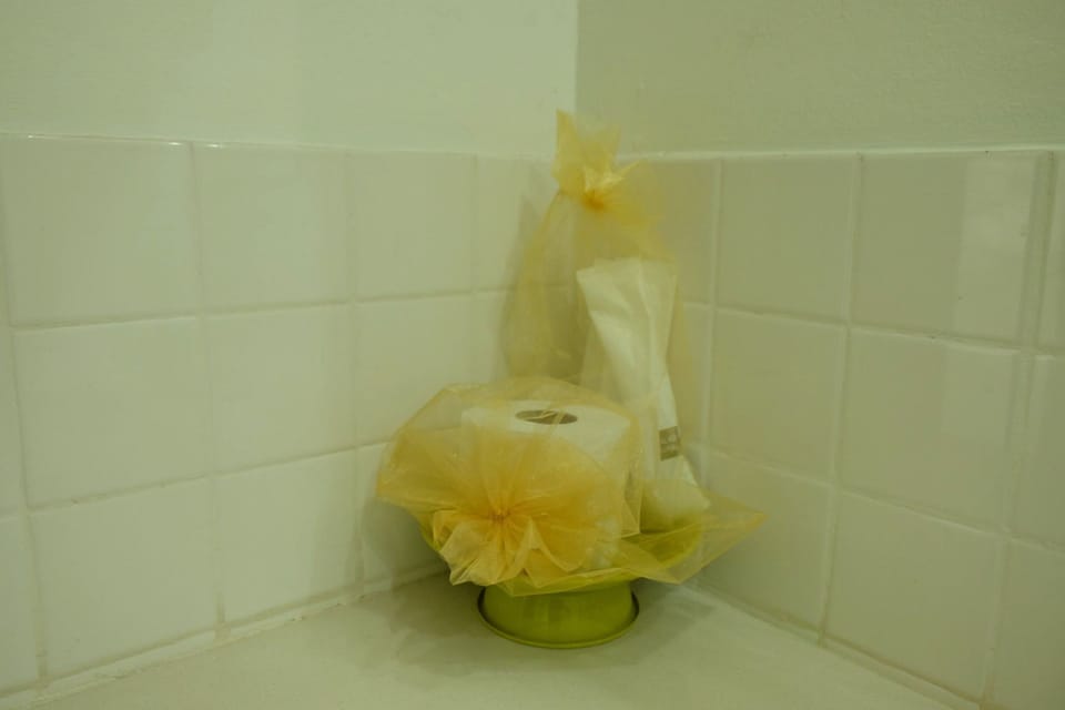 Shower, free toiletries, towels
