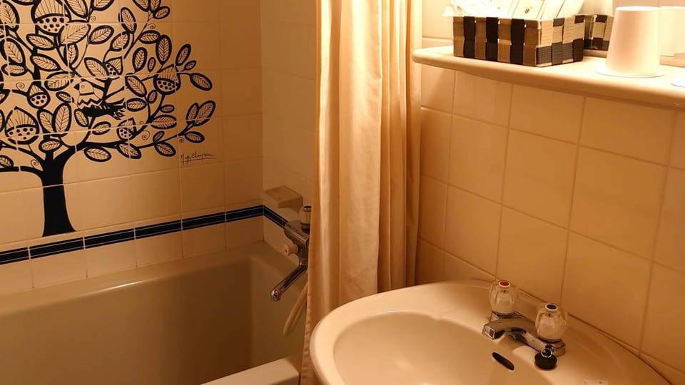 Combined shower/tub, deep soaking tub, free toiletries, hair dryer