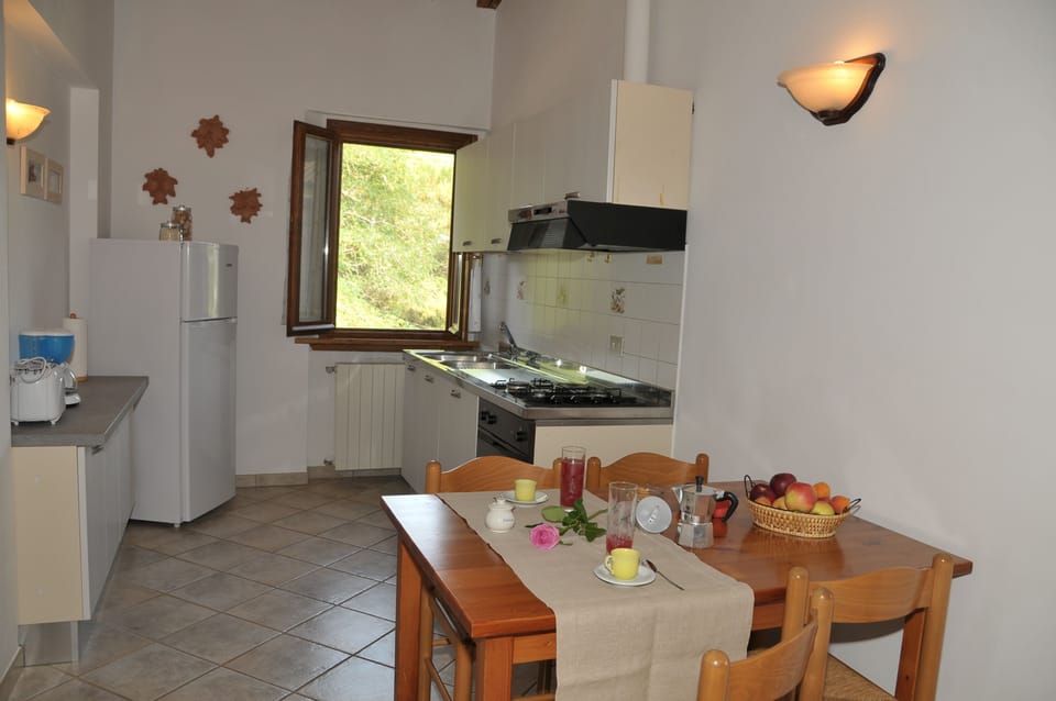Apartment, 1 Bedroom, Annex Building (Granaio) | Private kitchen | Full-size fridge, oven, stovetop, toaster