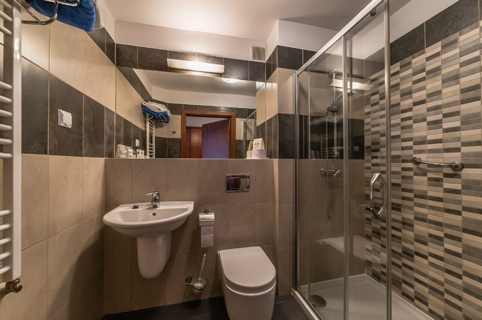 Single Room | Bathroom | Shower, hair dryer, towels, toilet paper