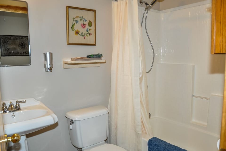 Combined shower/tub, eco-friendly toiletries, hair dryer, heated floors