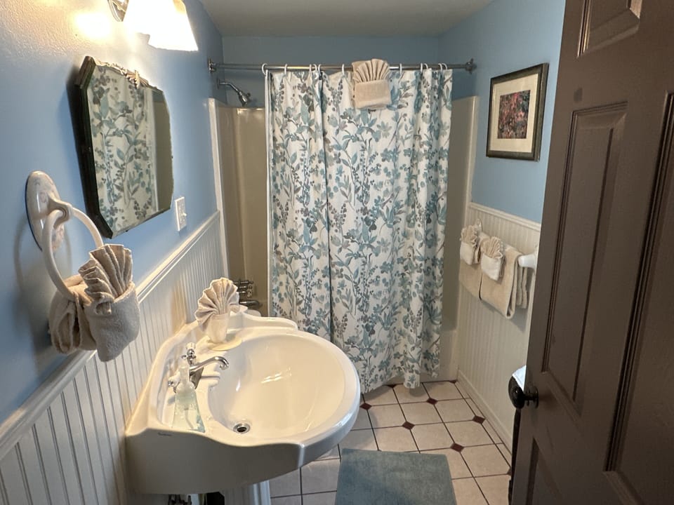 Standard Room, 1 Queen Bed (Room 7) | Bathroom | Free toiletries, soap, shampoo, toilet paper