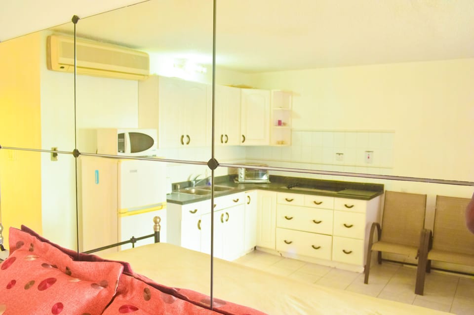Comfort Apartment, Ocean View | Private kitchen | Full-size fridge, stovetop