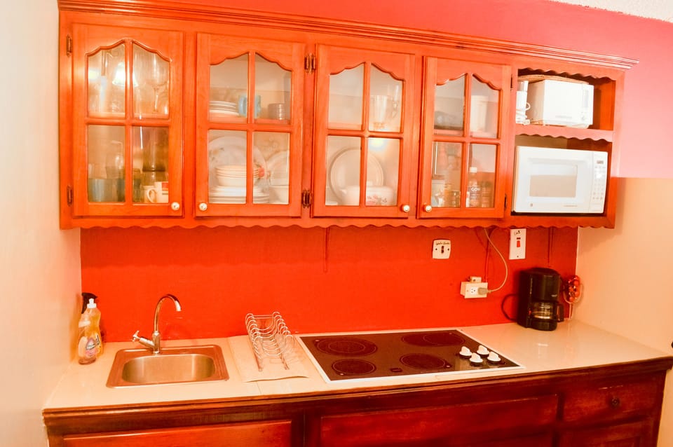 Comfort Apartment, Ocean View | Private kitchen | Full-size fridge, stovetop