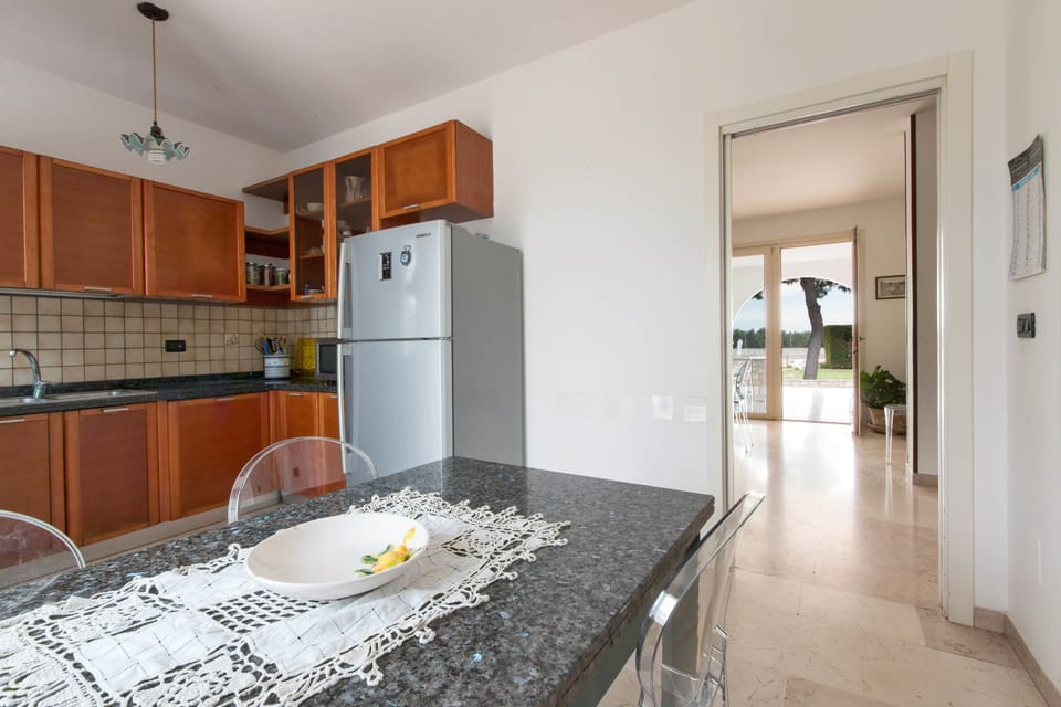 Fridge, stovetop, cookware/dishes/utensils