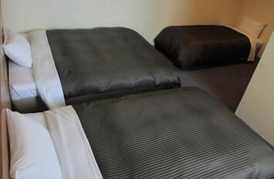Triple Room, Smoking | Desk, iron/ironing board, free WiFi