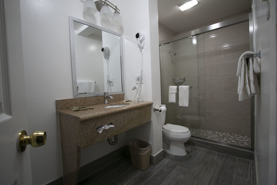 Standard Room, 1 King Bed | Bathroom | Free toiletries, towels