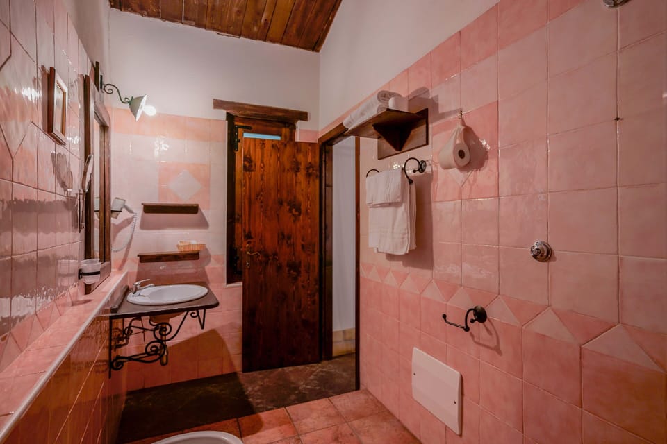Superior Double or Twin Room | Bathroom | Shower, free toiletries, hair dryer, bidet