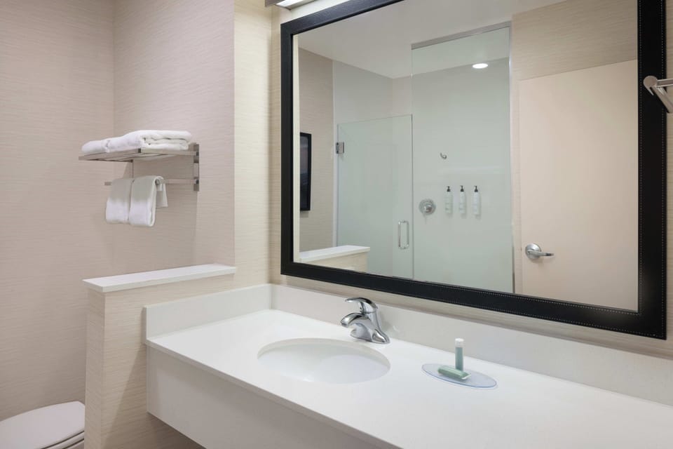 Combined shower/tub, free toiletries, hair dryer, towels