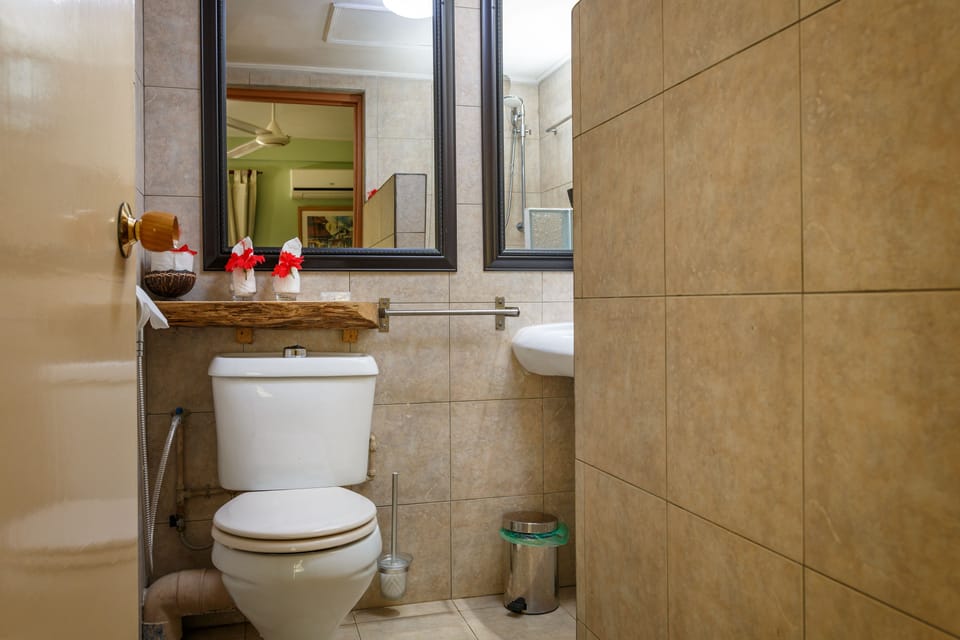 Cinnamon Mini Suite | Bathroom | Shower, free toiletries, hair dryer, towels