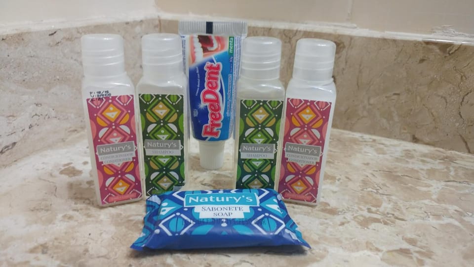 Shower, free toiletries, hair dryer, towels