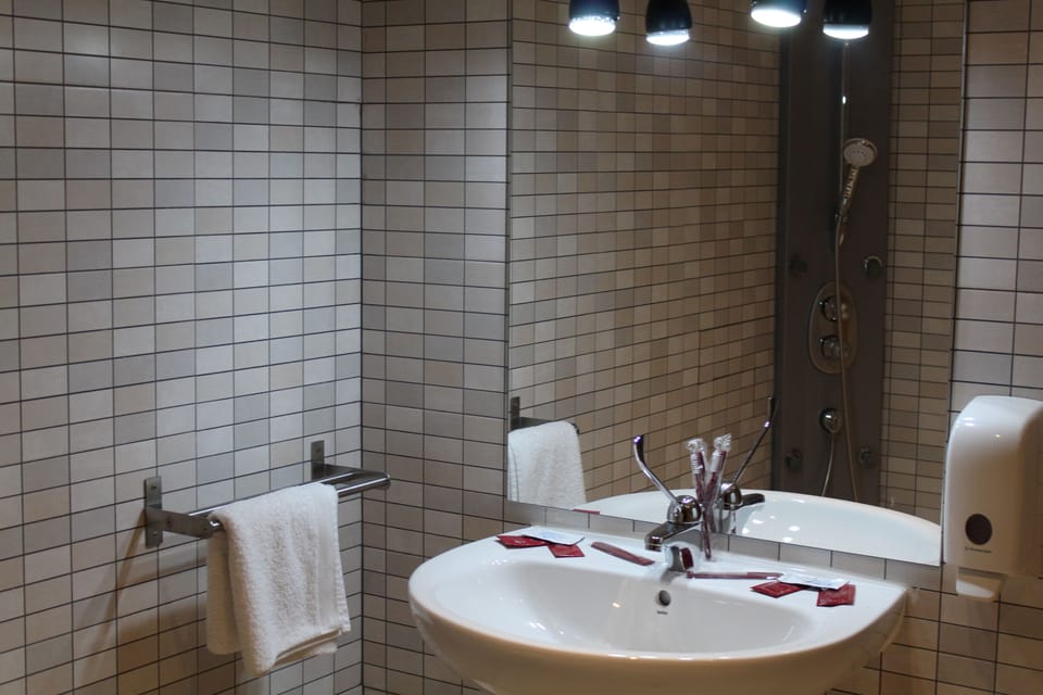 Double or Twin Room, Mountain View | Bathroom | Free toiletries, towels