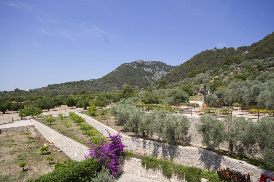Land view from property