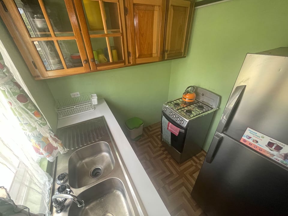 Standard Apartment, 1 King Bed, Kitchenette | Private kitchen | Fridge, microwave (on request), electric kettle