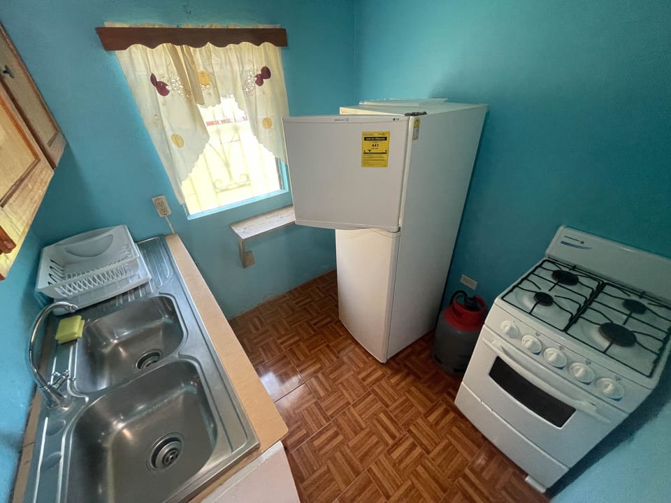 Fridge, microwave (on request), electric kettle