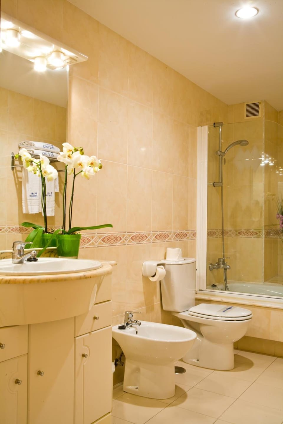 Bathtub, free toiletries, hair dryer, bidet