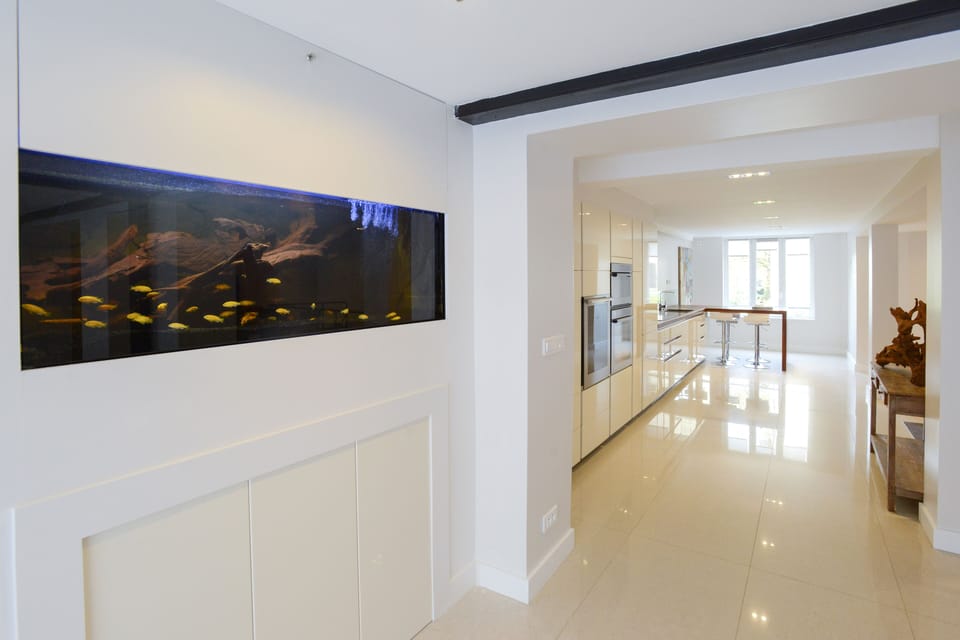 65-inch flat-screen TV with cable channels, TV