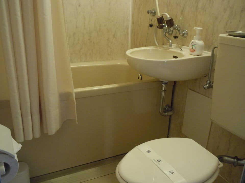 Combined shower/tub, free toiletries, hair dryer, slippers