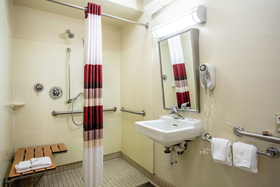 Standard Room, 1 King Bed, Accessible (Roll-In Shower, Smoke Free) | Accessible bathroom