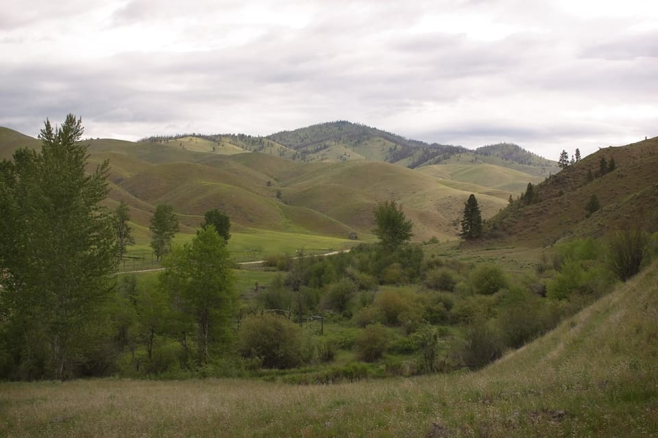 Luxury Cabin, 1 Bedroom (Willow) | Mountain view