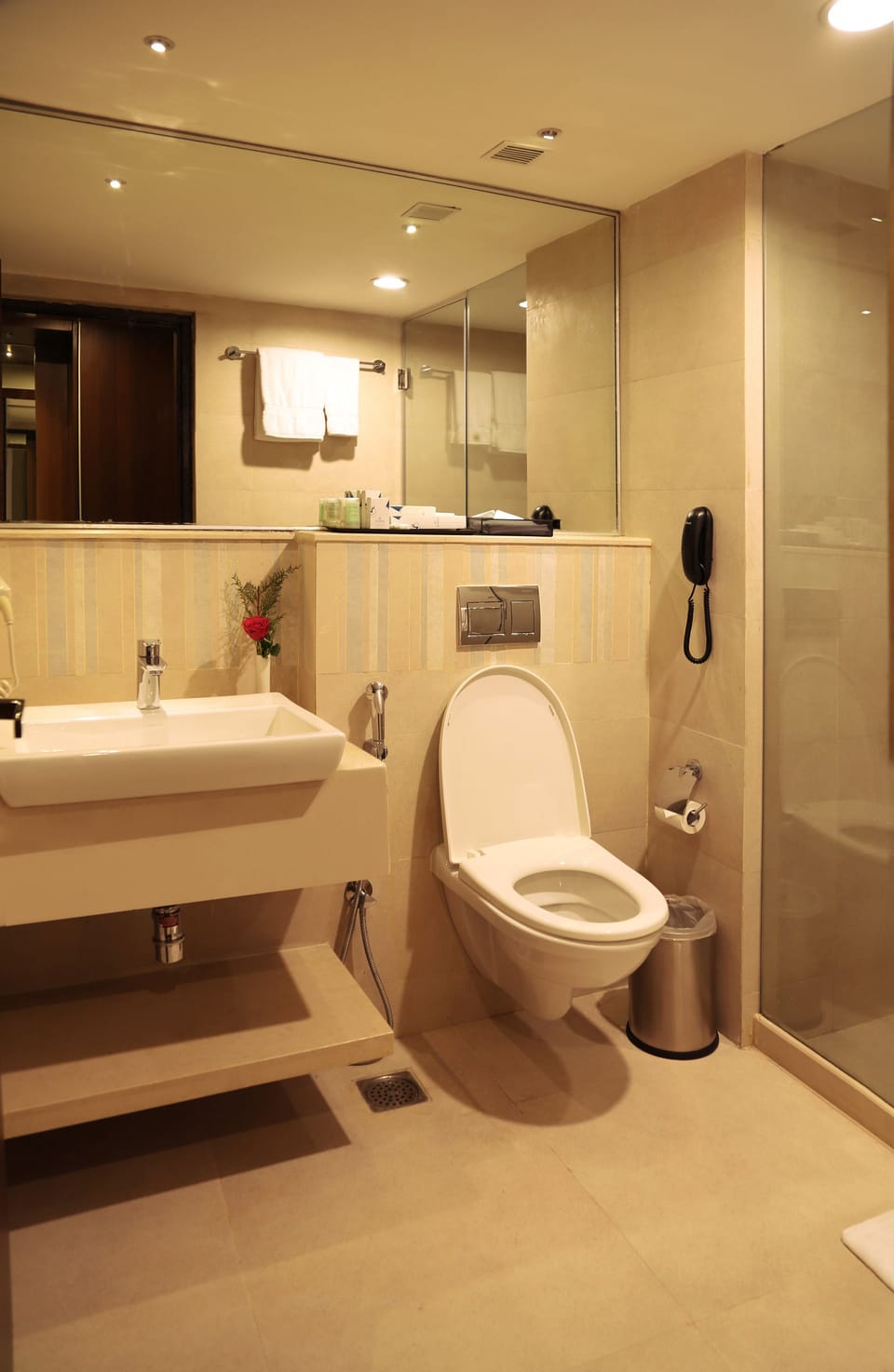Shower, free toiletries, hair dryer, bidet