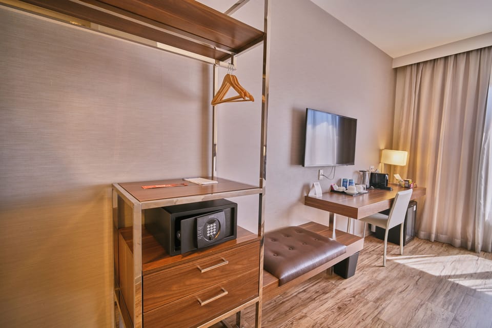 Premium Double Room, 1 King Bed | Minibar, soundproofing, free WiFi, bed sheets