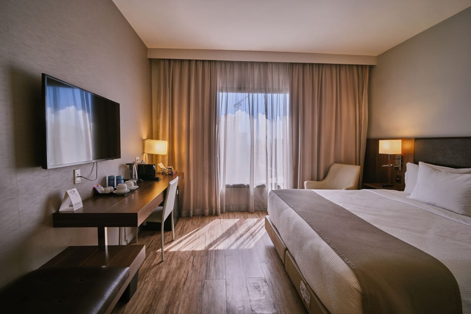 Premium Double Room, 1 King Bed | Minibar, soundproofing, free WiFi, bed sheets