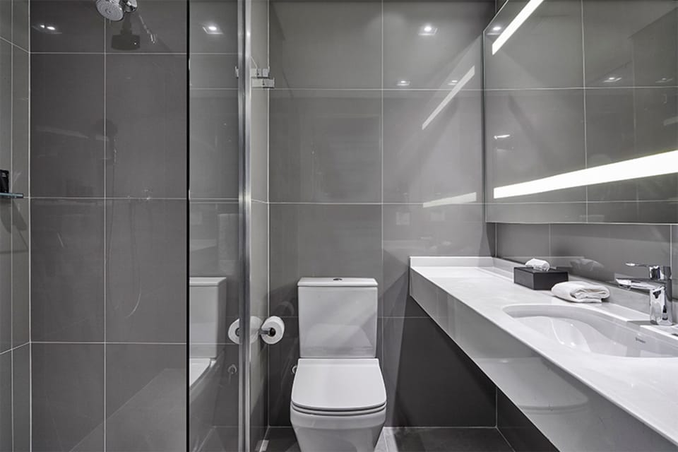 Shower, free toiletries, hair dryer, towels